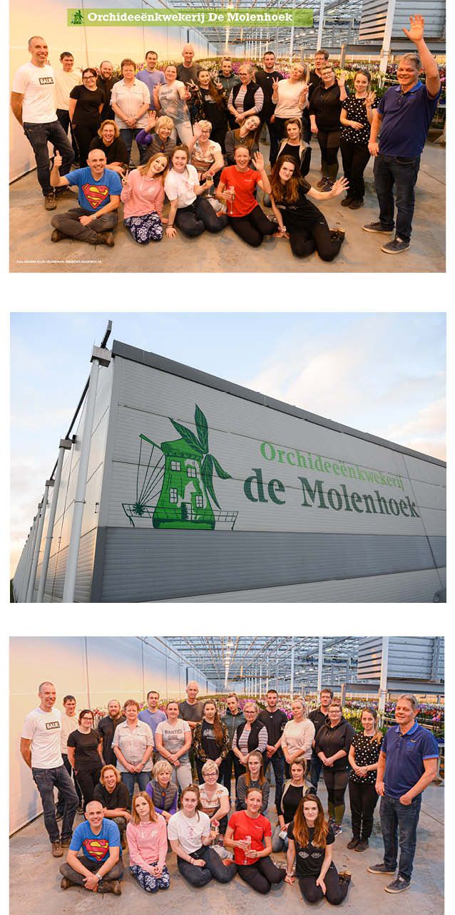 Fotocolaage met twee groepsfoto's, 1 lekker gek doen en de andere normaal en het pand buitenkant