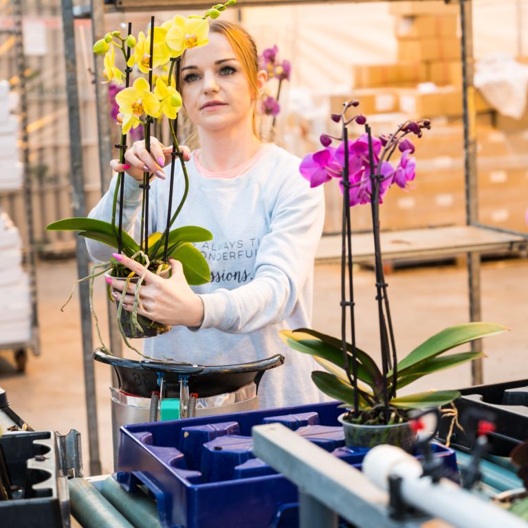 profielfoto orchideeën en de eigenaren voor de website