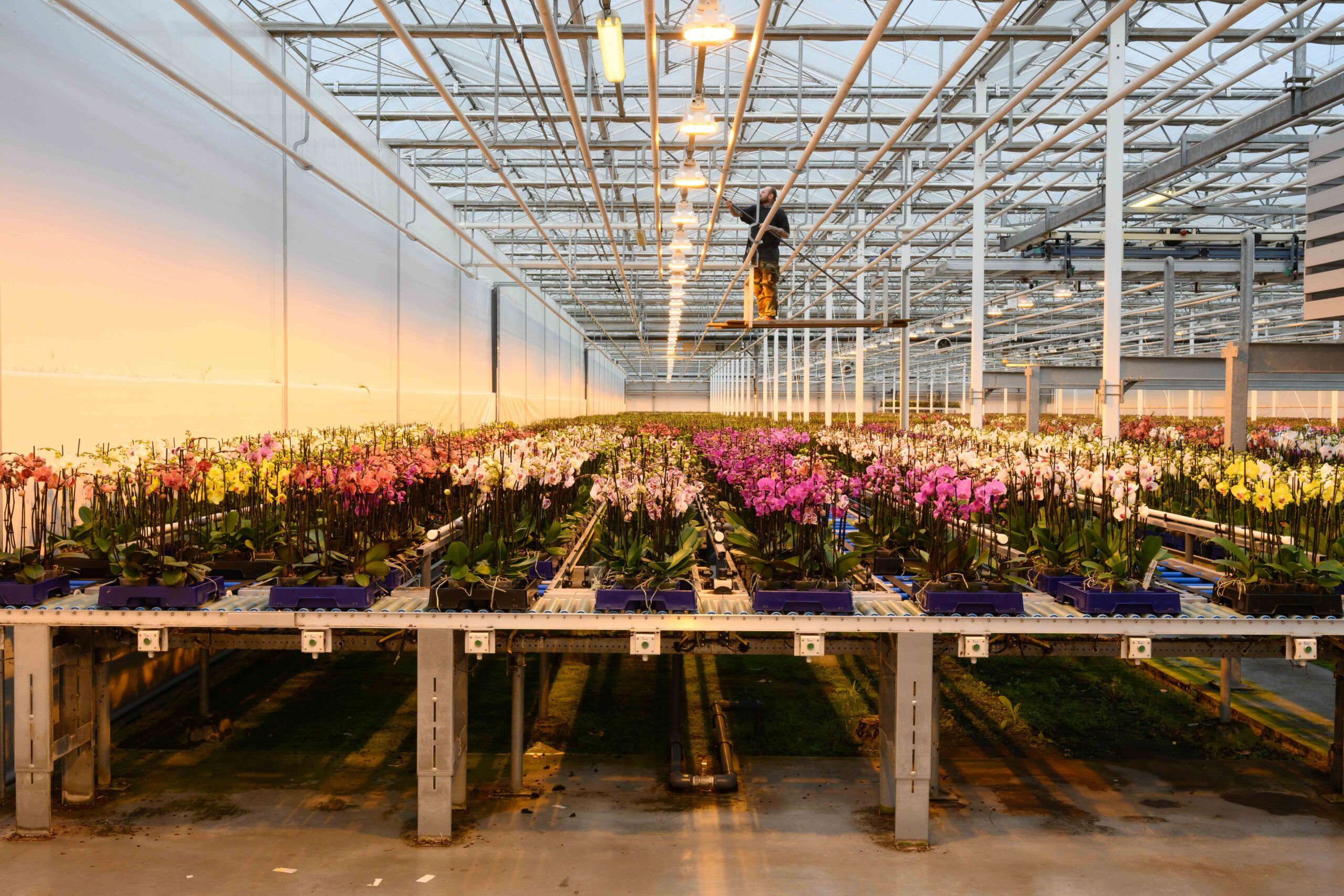 dekassen en onderhoud in Bergerden