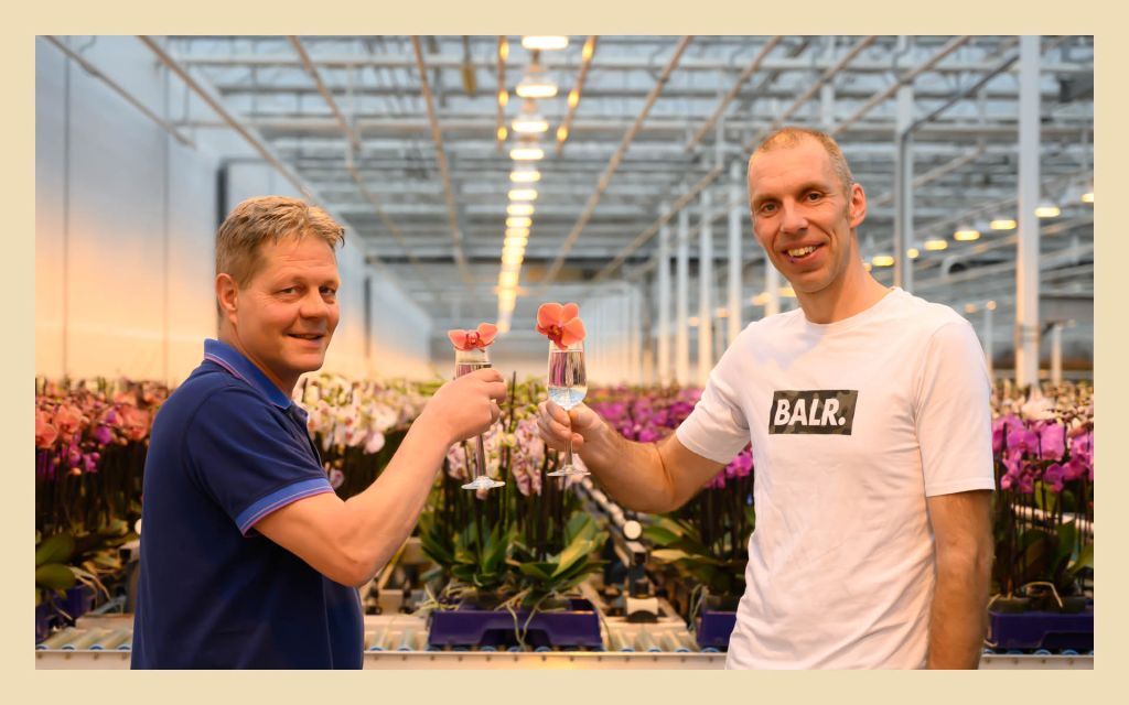 Otto Basten en Marcel Arts proosten met de rosee (orchidee)